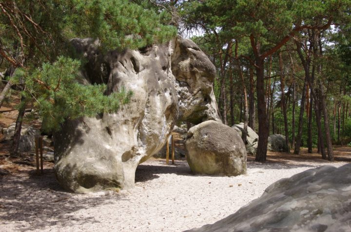 Fontainebleau 2019
